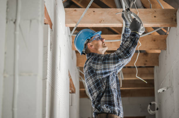 Best Ceiling Fan Installation Electrician  in Pleasant View, TN