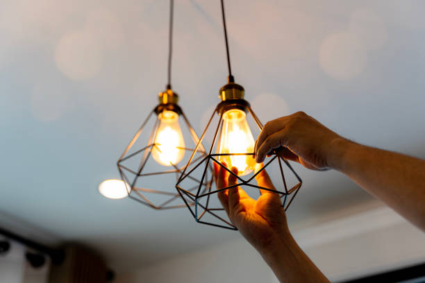 Best Electrician for Home Renovation  in Pleasant View, TN