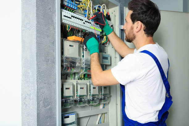 Best Affordable Electrician  in Pleasant View, TN